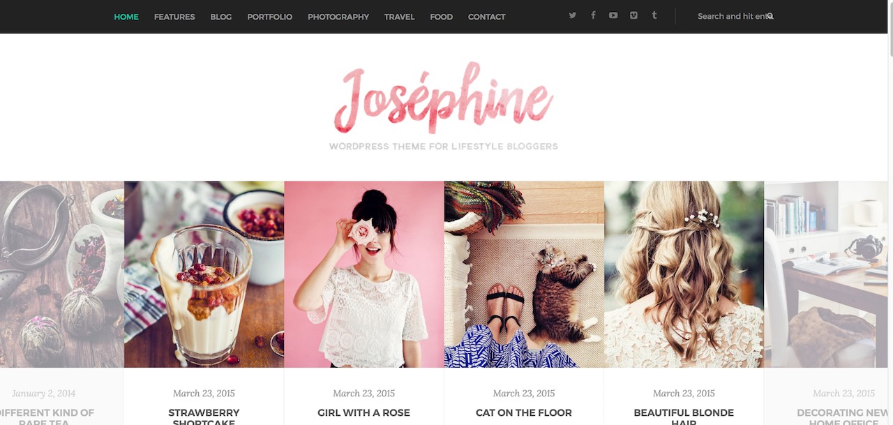 33 thèmes WordPress de style de vie populaires 2019 27