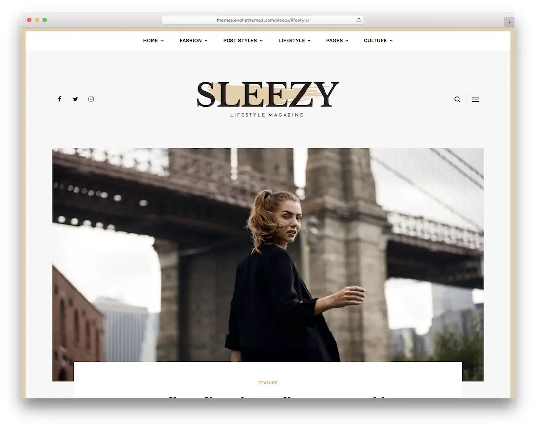 sleezy lifestyle wordpress theme