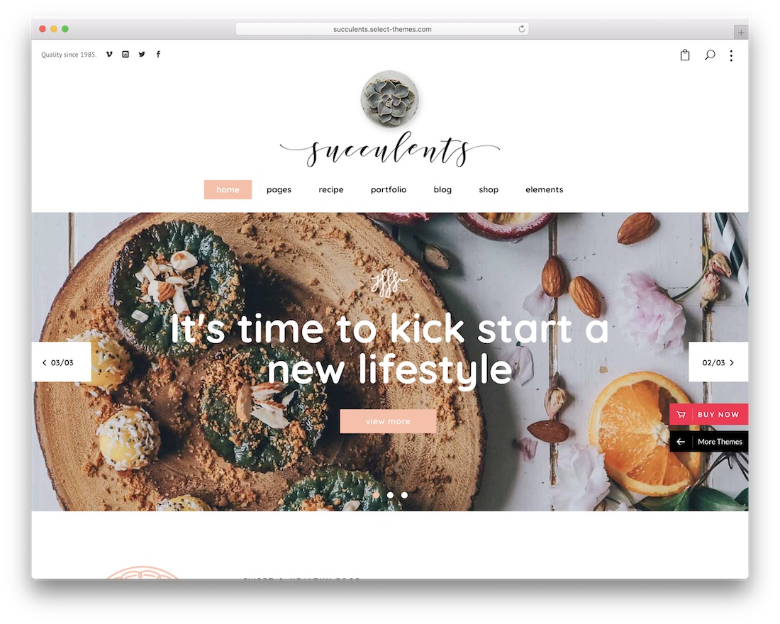 succulents lifestyle wordpress theme