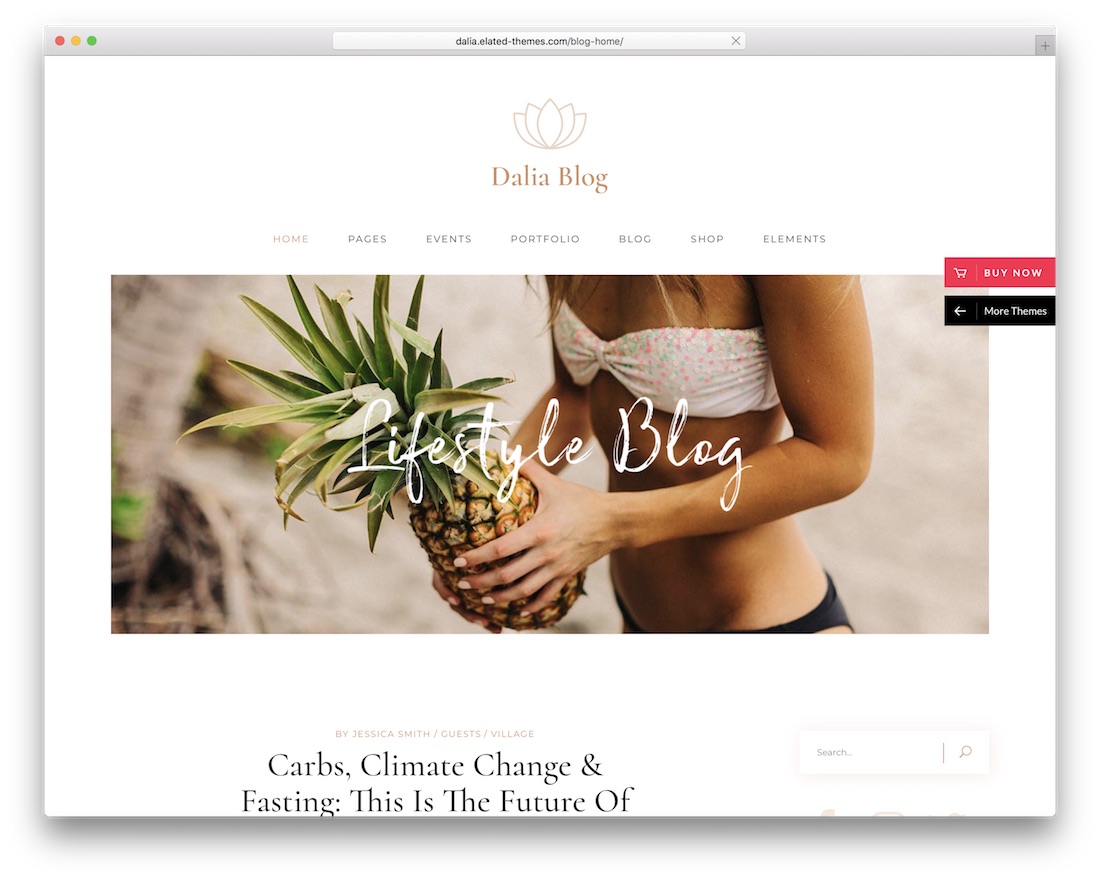 dalia lifestyle wordpress theme