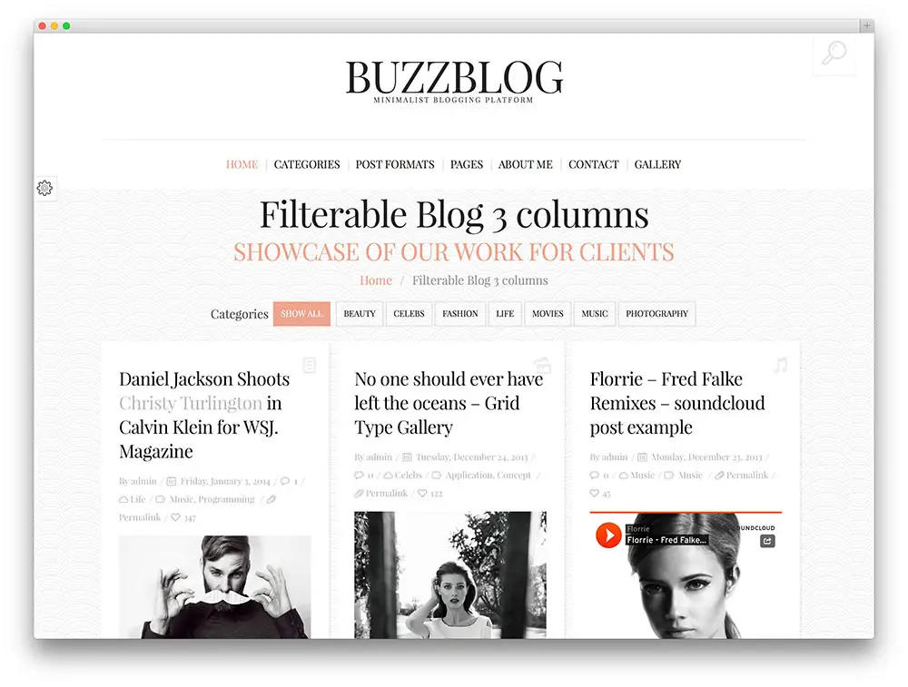 thème de blogs buzzblog