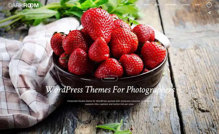 33 meilleurs thèmes WordPress pour les photographes 2019 127