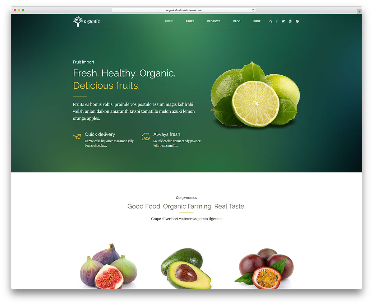 19 thèmes WordPress écologiques pour Green, Organic, Eco-Friendly Business, WooCommerce, Sites Web sur les aliments 2019 5