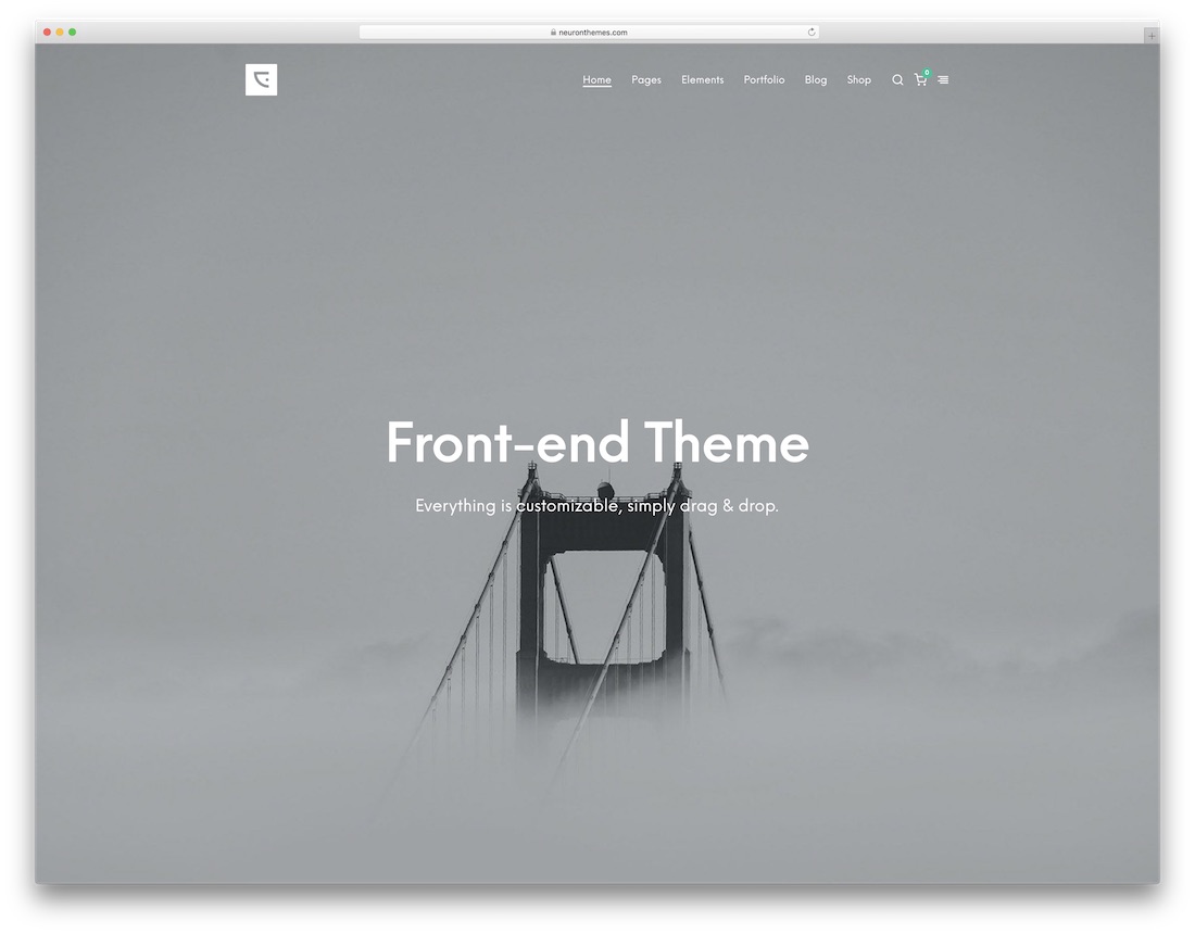 centaurus clean wordpress theme