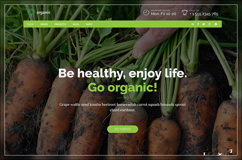 Aliments biologiques - Thème WordPress pour nutritionniste et aliments