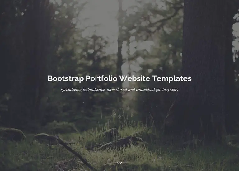 18 meilleurs modèles de sites Web HTML5 pour portefeuille Bootstrap, 2019 24