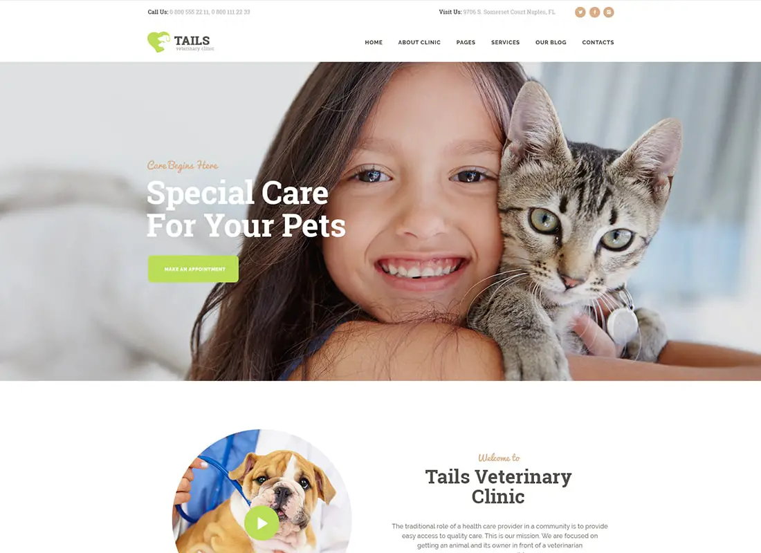 Queues | Thème WordPress de Clinique vétérinaire, Soins et animaux de compagnie