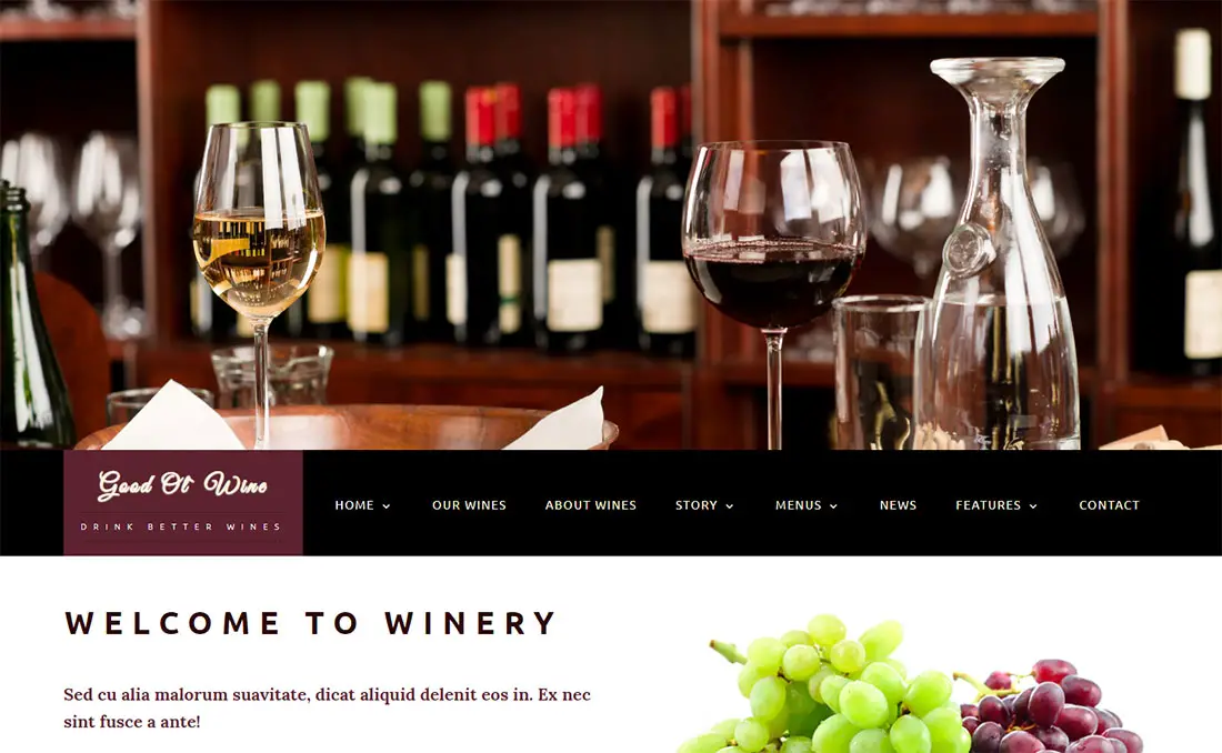 magasin de vins thème WordPress