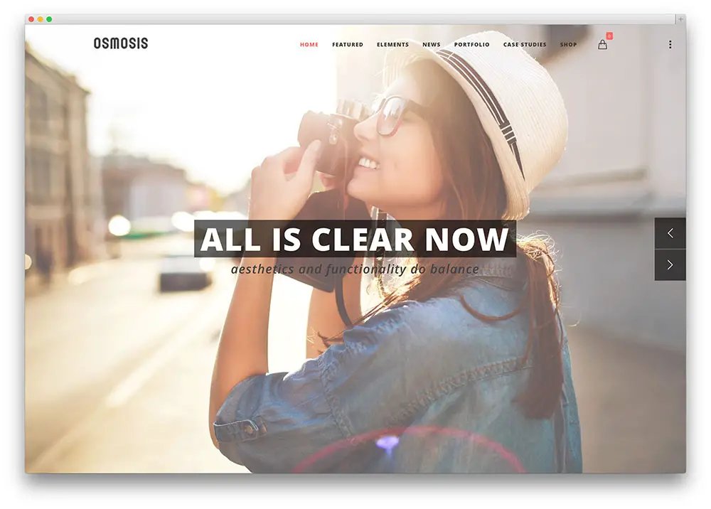 osmosis WordPress theme preview