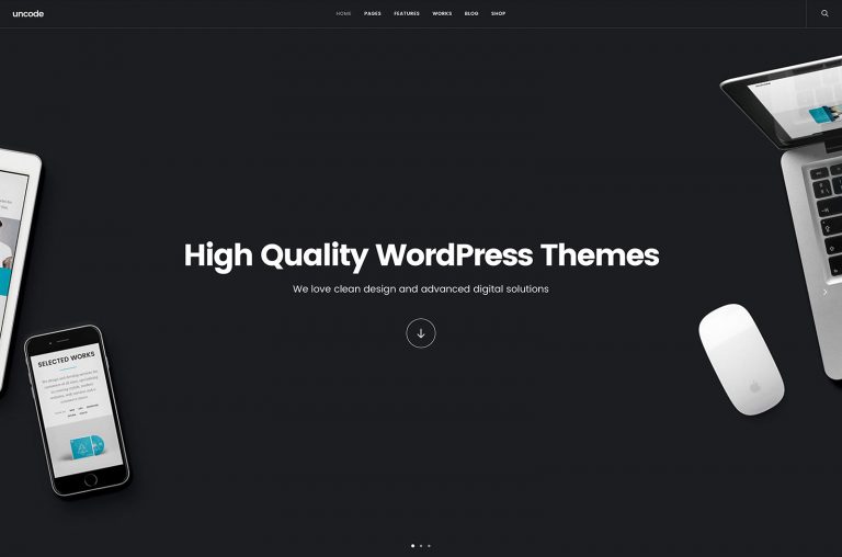Top 20 thèmes WordPress haute qualité 2019 24