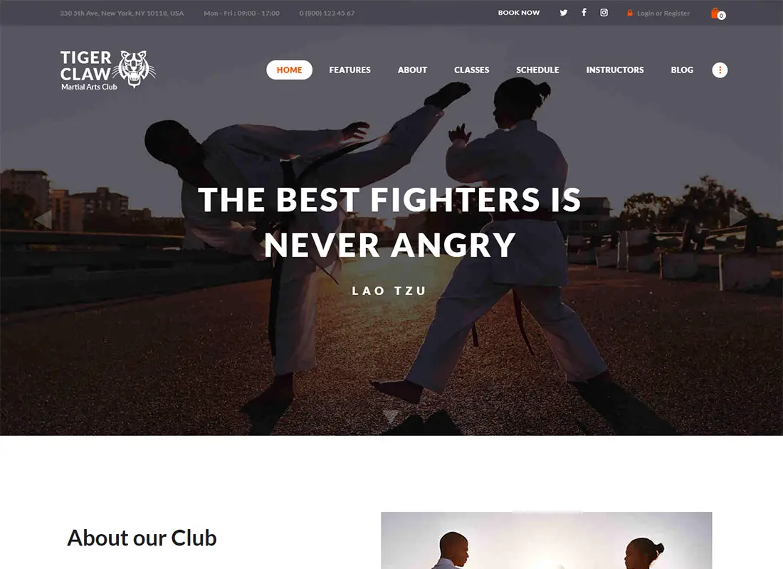 Thème WordPress pour arts martiaux tigre