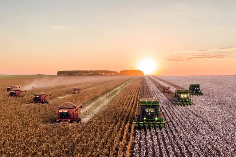 Les thèmes WordPress les plus fructueux sur l'agriculture pour créer votre propre site Web agricole 6