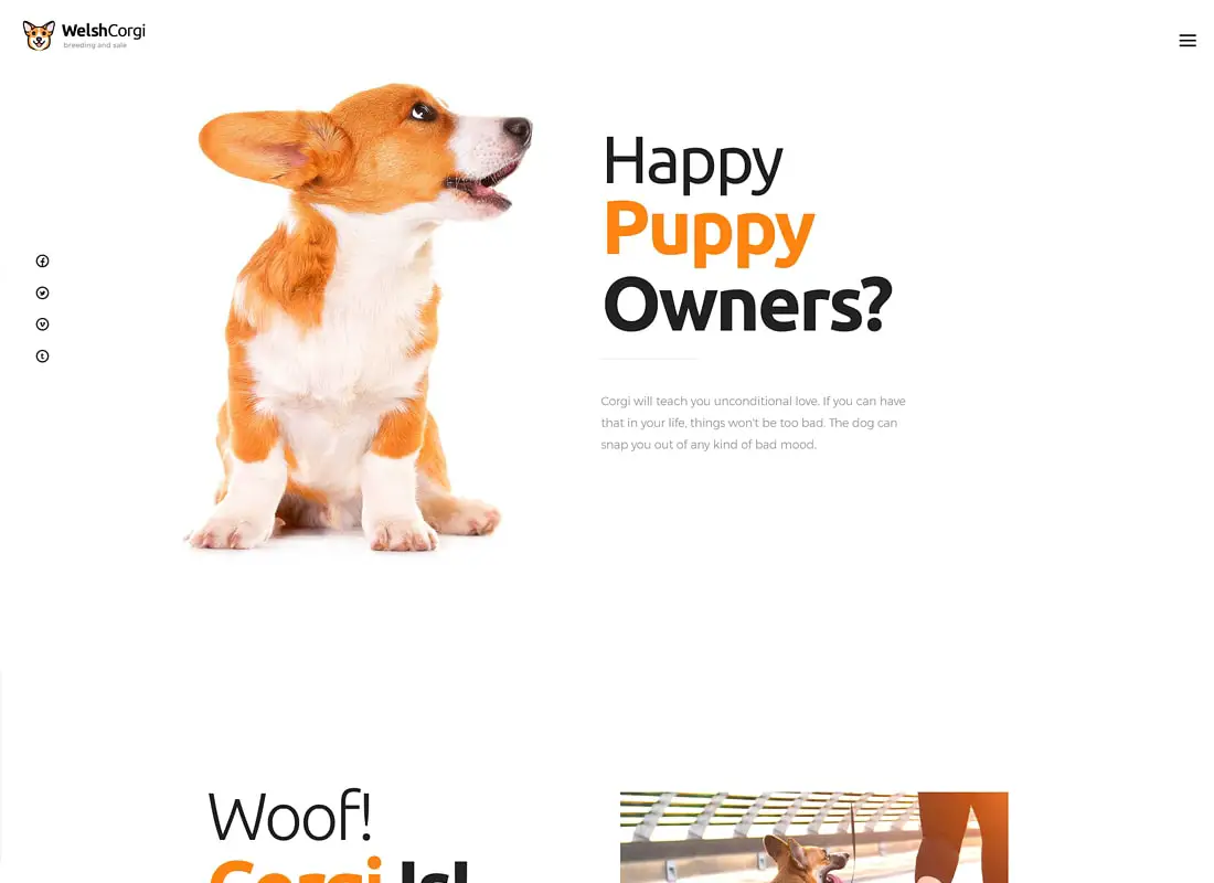Corgi gallois | Thème WordPress élevage et vente de chiens