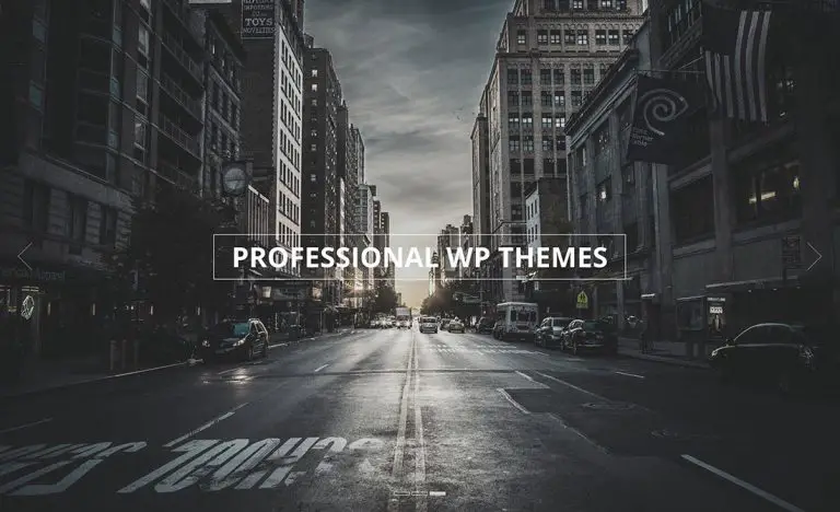 27 thèmes WordPress professionnels 2019 4