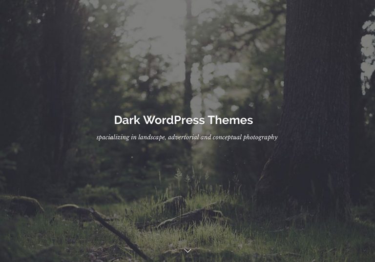 Top 22 des thèmes Dark WordPress en 2019 pour les sites Web professionnels 2