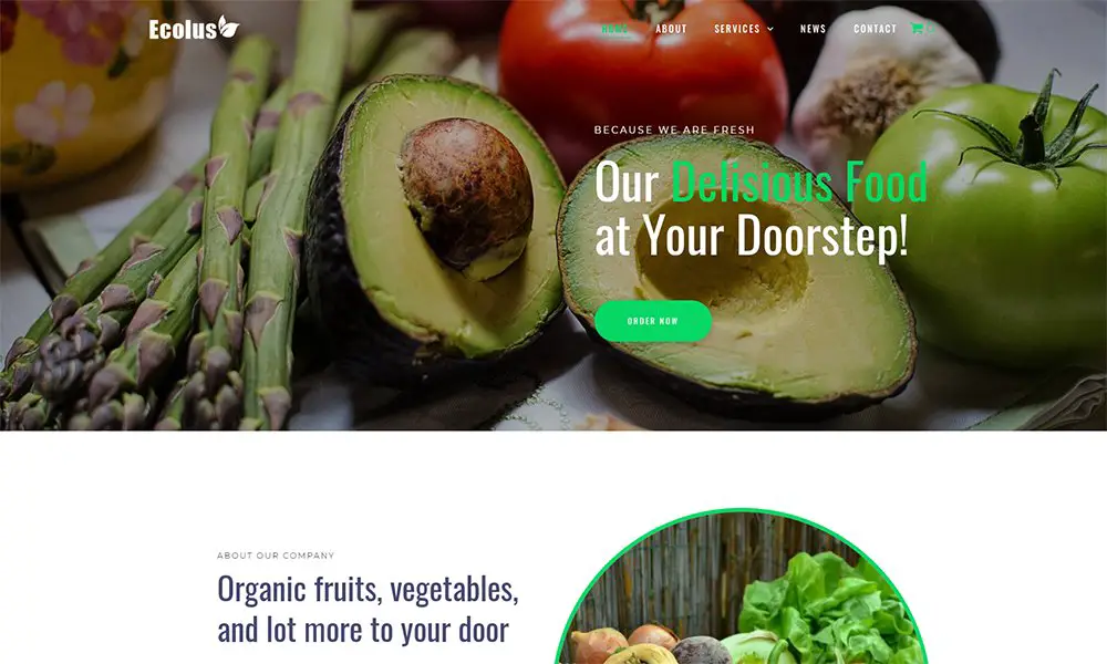 Ecolus - Livraison de nourriture biologique ECommerce Thème WordPress Elementor moderne