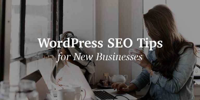 Meilleurs conseils SEO pour WordPress Business 79