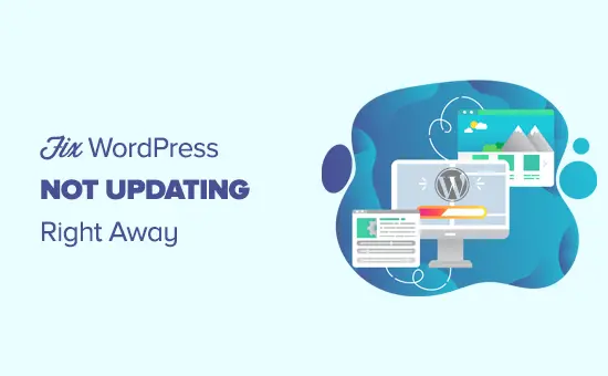 Comment réparer le site Web WordPress ne se mettant pas à jour immédiatement 19
