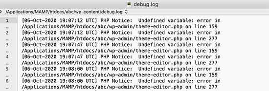 Fichier journal de débogage montrant les erreurs PHP dans WordPress