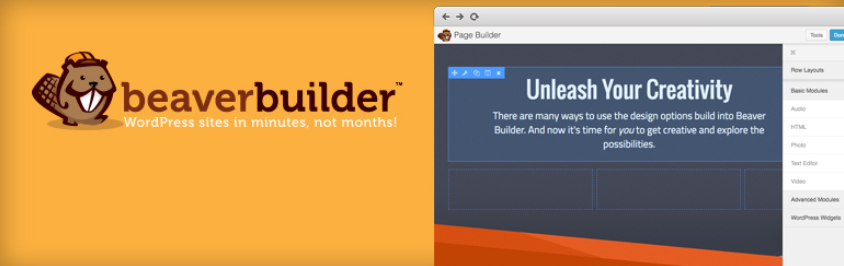 Le plugin WordPress Beaver Builder.
