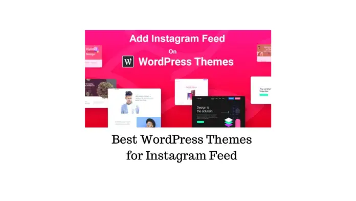 5 meilleurs thèmes WordPress pour le flux Instagram sur votre site Web 1