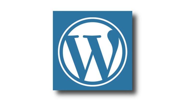 Rédacteur web : rédiger et intégrer un article pour WordPress (comment rédiger, les photos, videos, maillage optimisation SEO) 6