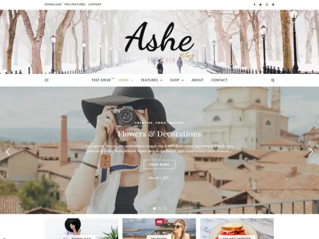Ashe - Thème WordPress
