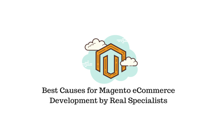 Meilleures causes pour le développement du commerce électronique Magento par de vrais spécialistes 1