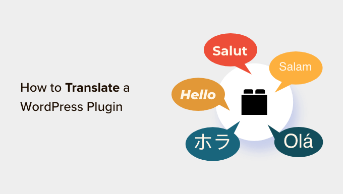 Comment traduire un plugin WordPress dans votre langue 9