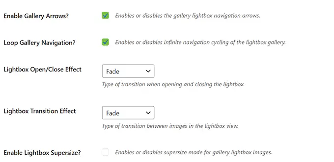 Configurer d'autres options de lightbox dans Envira Gallery