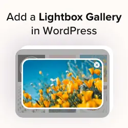Comment ajouter une galerie dans WordPress avec un effet Lightbox 9