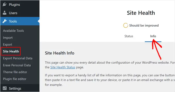 Ouverture de l'onglet Informations dans le menu Site Health dans la zone d'administration WordPress
