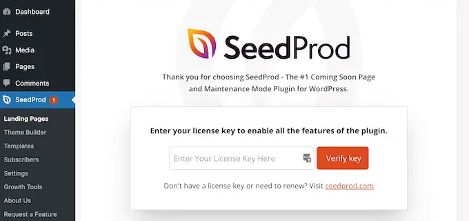 Ajout de la clé de licence SeedProd à votre site WordPress