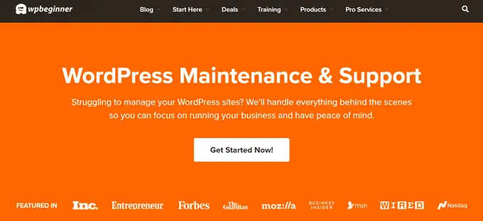 Services de maintenance WPBeginner Pro